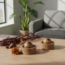 Difusor de Óleos Essenciais - Madeira Natural